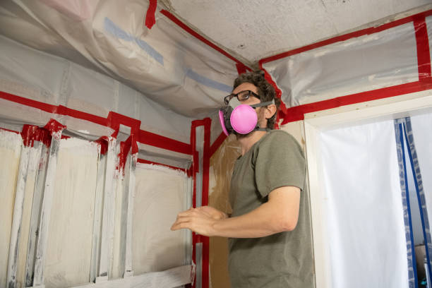 Best Forensic Mold Investigation  in Paia, HI