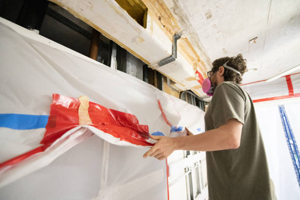 Best Real Estate Mold Inspection  in Paia, HI