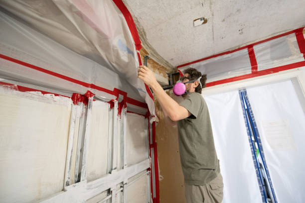 Best Post-Remediation Verification Testing  in Paia, HI