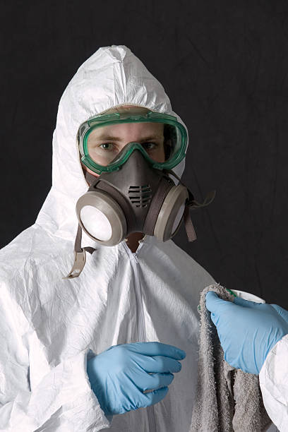 Best Mold Odor Removal Services  in Paia, HI